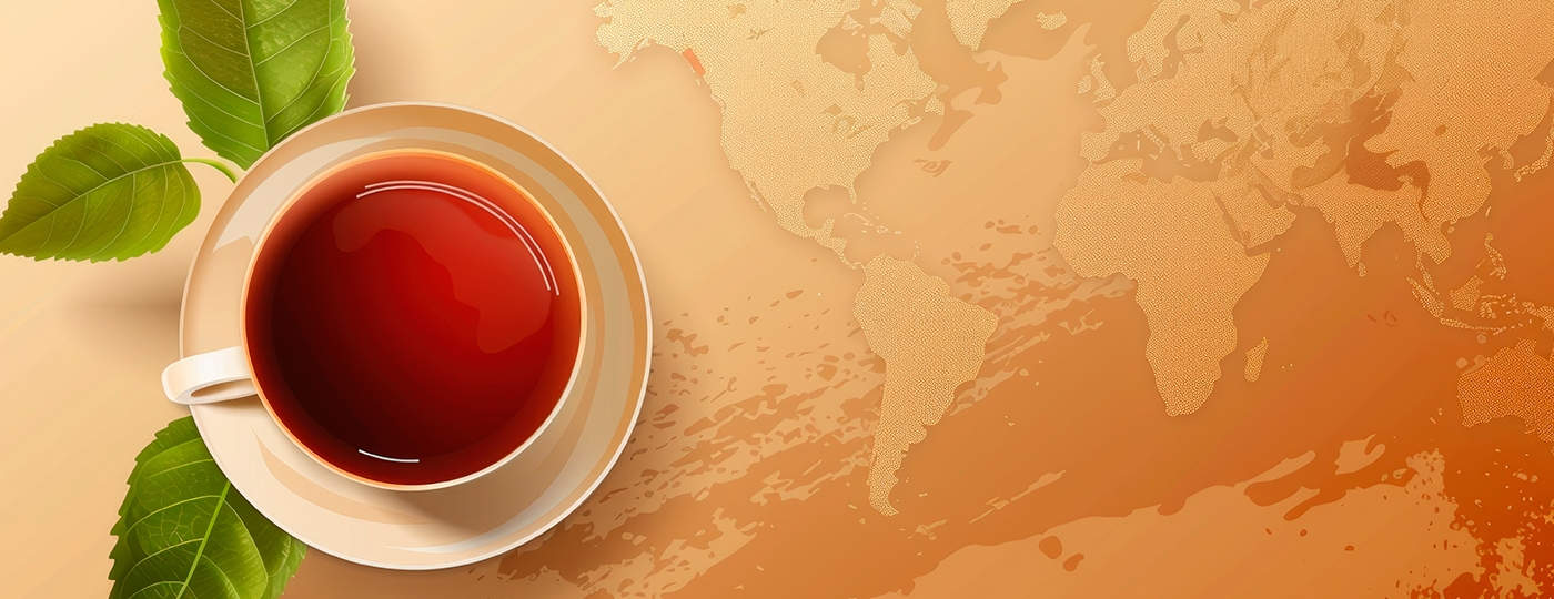 Die Teewelten von Mein Teekontor