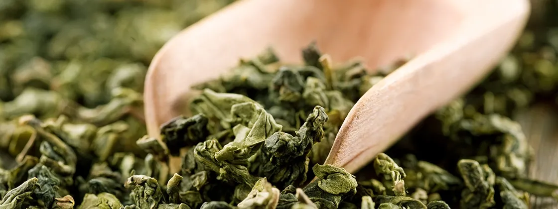 Oolong