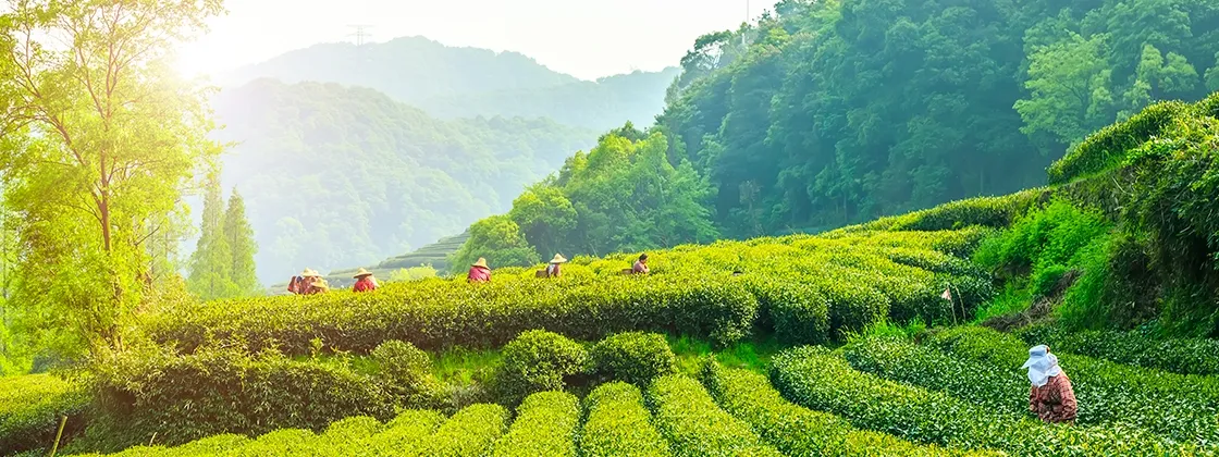 China