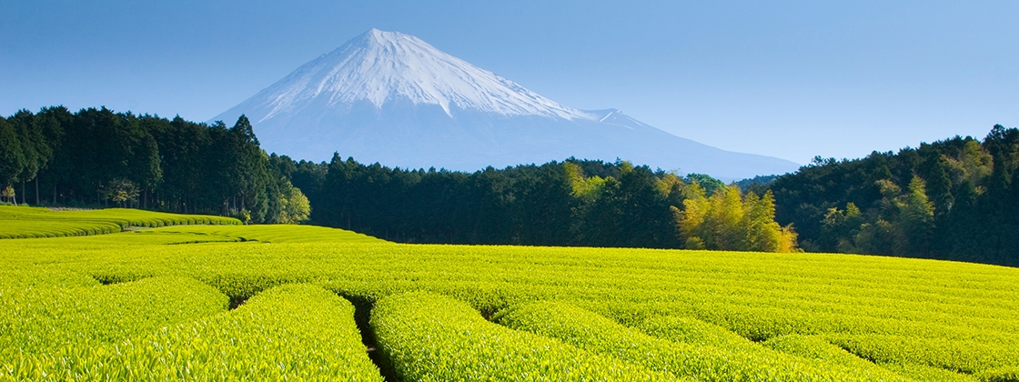 Japan und andere Länder