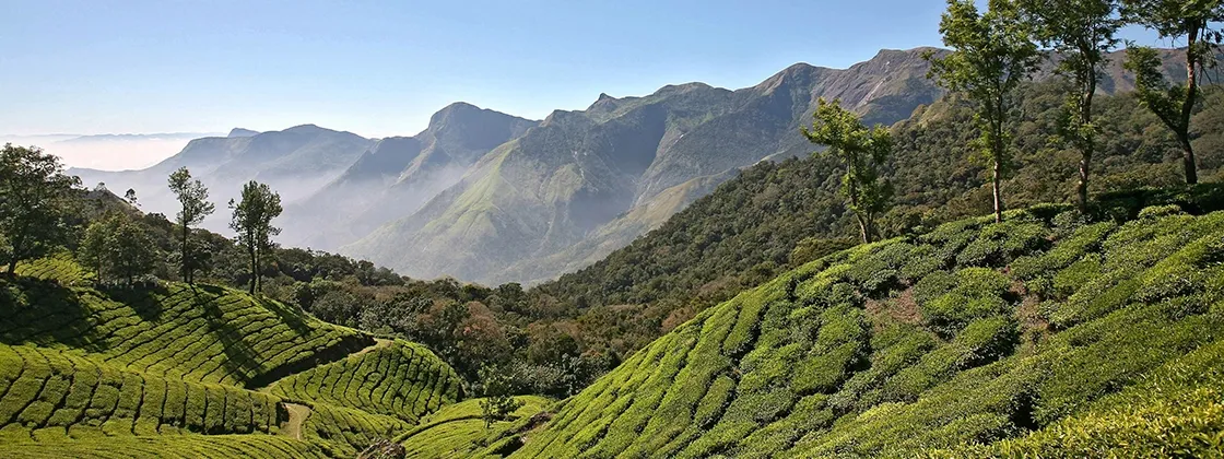 Darjeeling