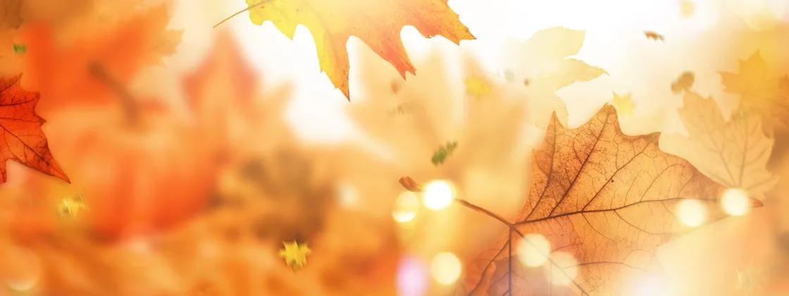 Gemütlicher Herbst