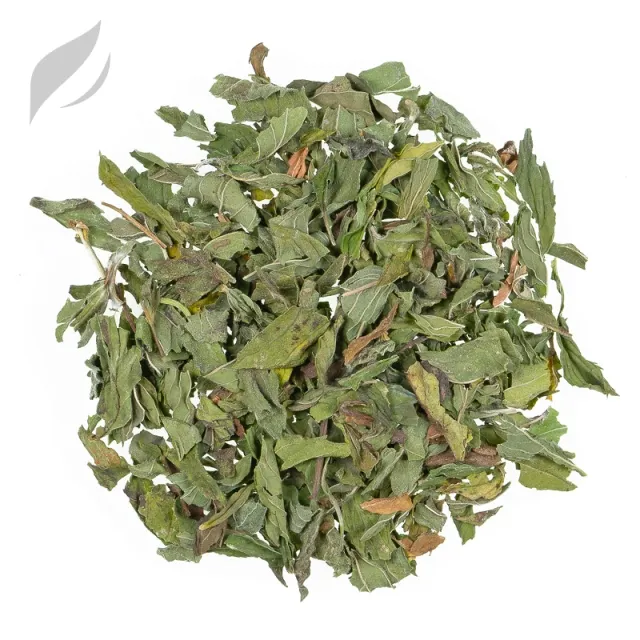 Fränkische Pfefferminze