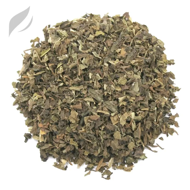 Melisse (Zitronenmelisse)