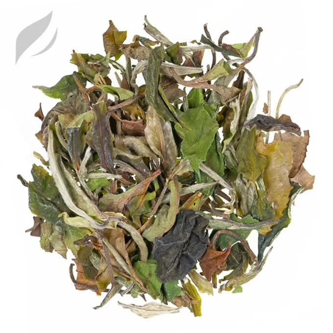 China Fuding Pai Mu Tan