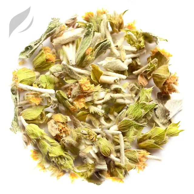 Griechischer Bergtee