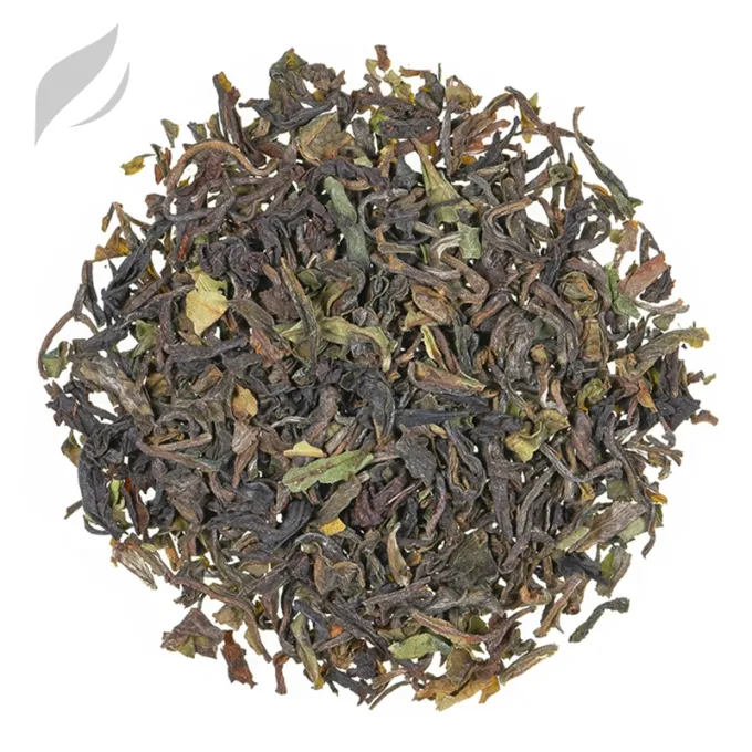 Darjeeling Gielle