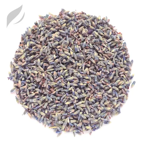 Lavendel