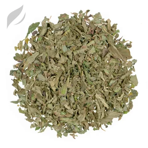 Verbene (Eisenkraut)